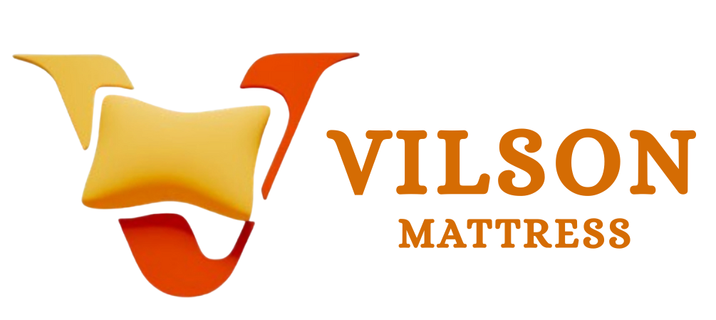 Vilson Logo
